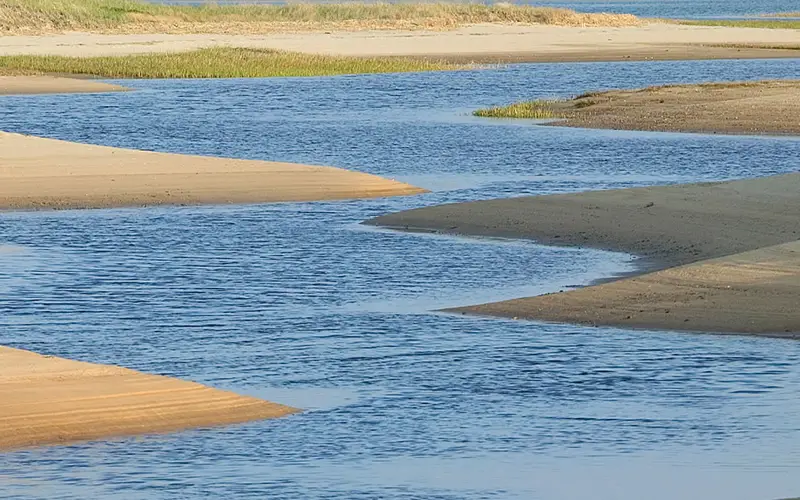 Tidal channel winding through Cape Cod dunes