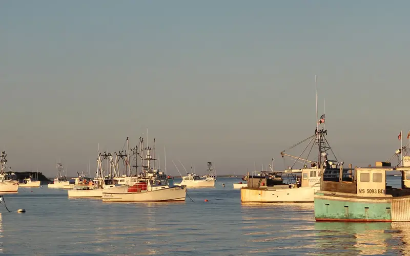 Fishing boats in a Cape Cod harbor
