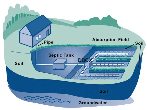 Diagram of a septic system showing the tank, distribution box and absorption field